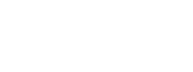 TDM Logo